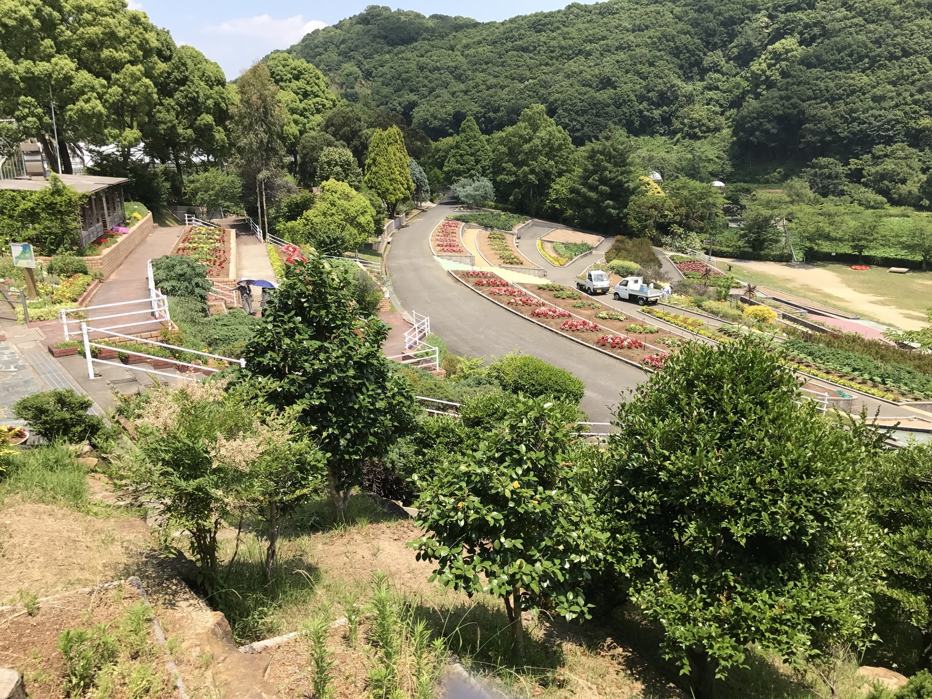 和歌山県植物公園 緑化センター 自然がいっぱい 和歌山へ遊びに行こう